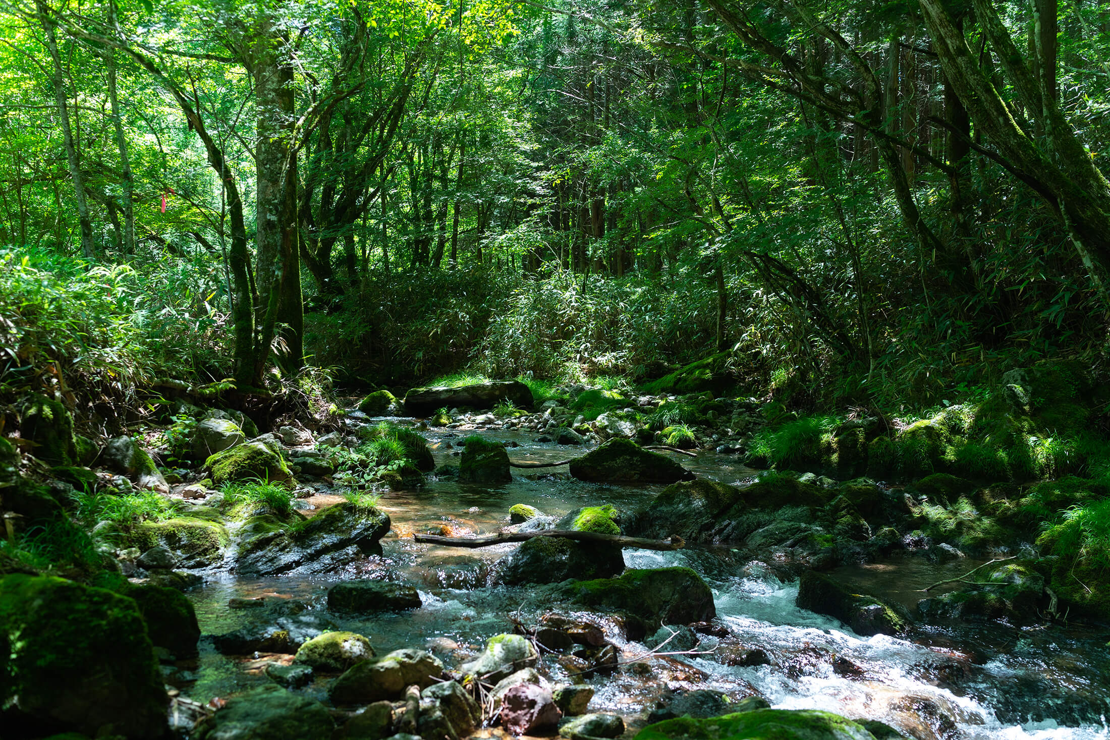 深山山荘DENCHI