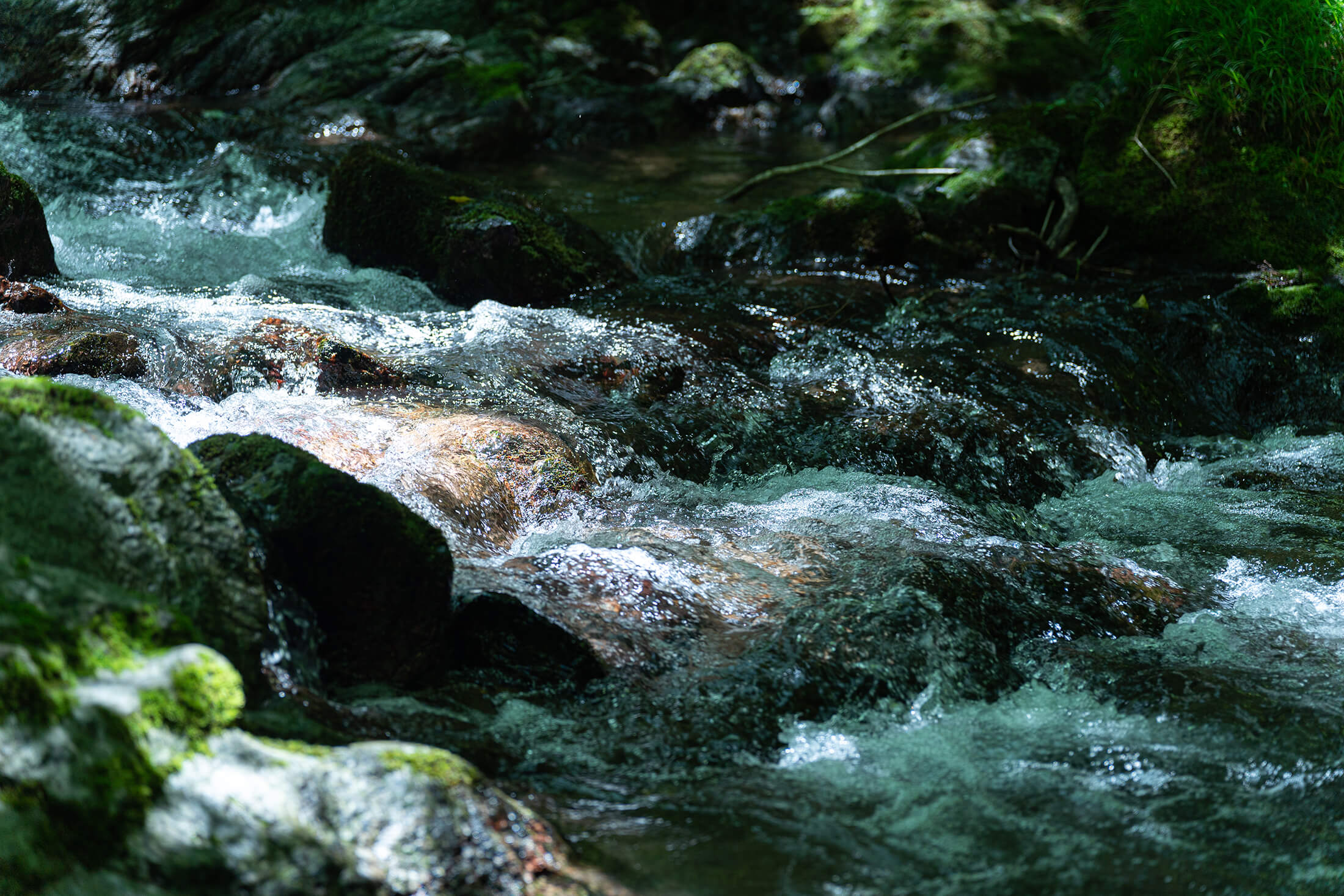 深山山荘DENCHI