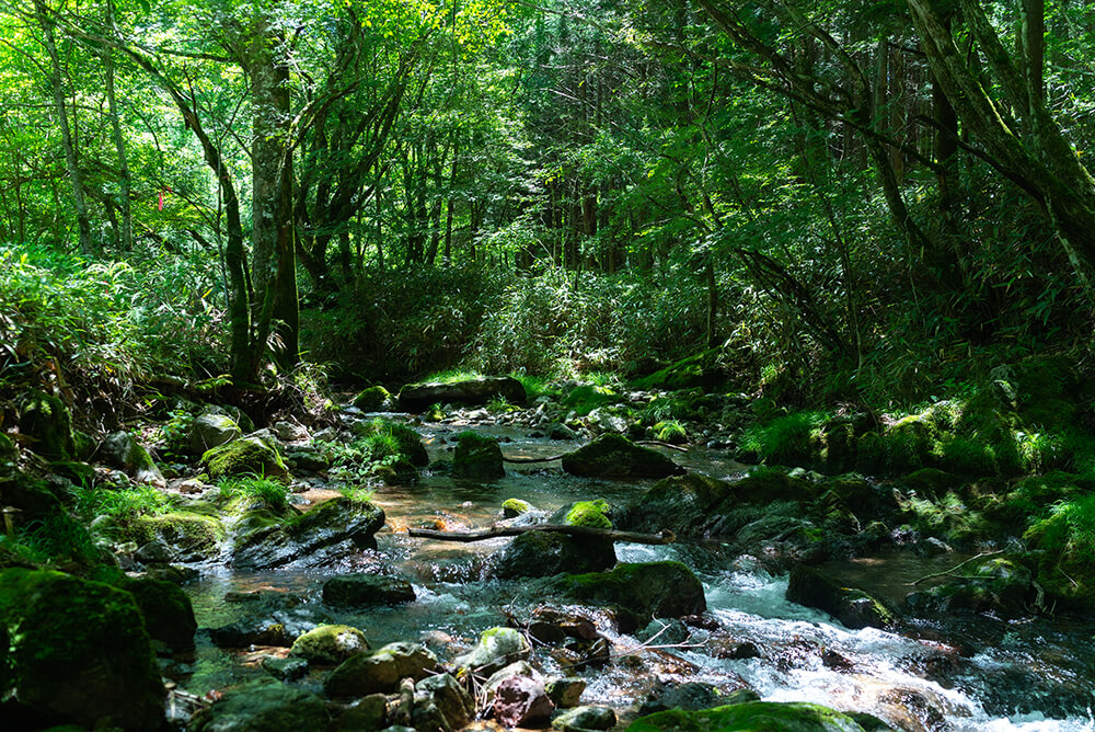 深山山荘DENCHI