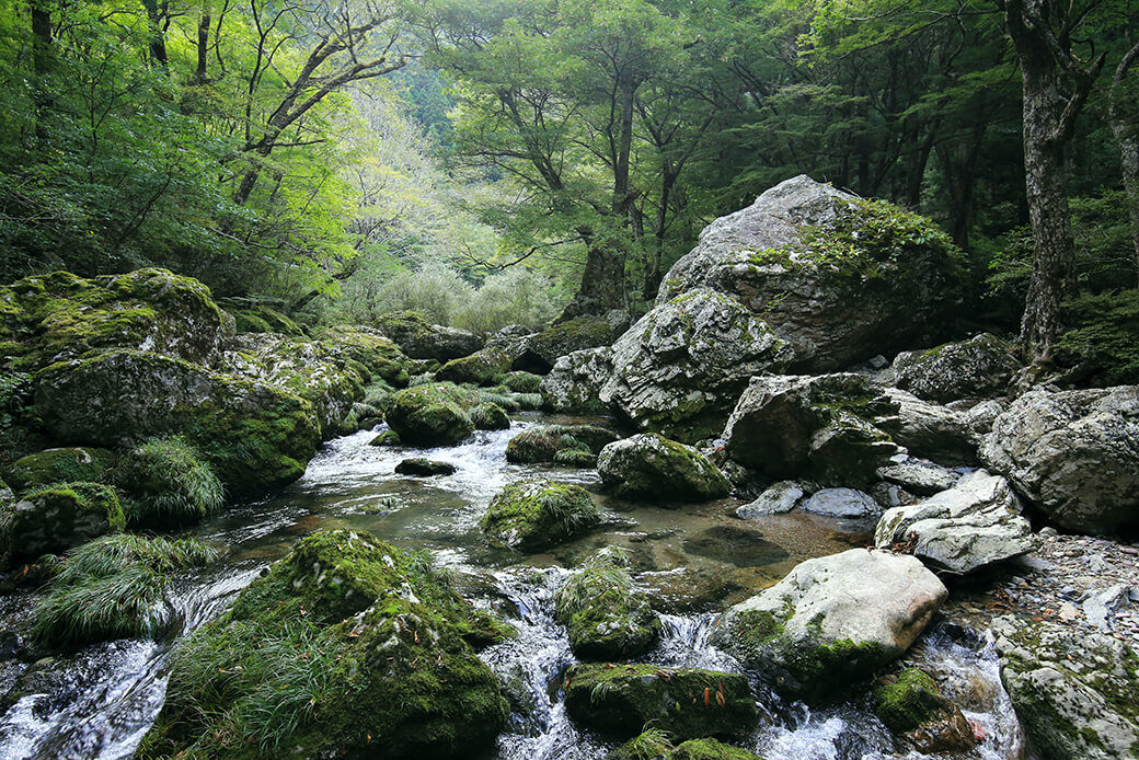 小田深山渓谷